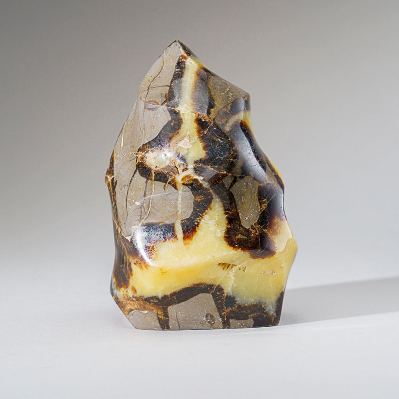 Septarian Crystal