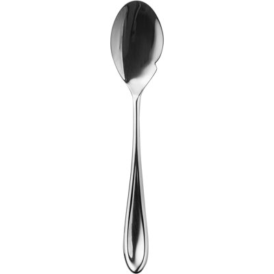 Forma Stainless Steel Tasting Spoon
