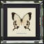Single Picture Frame Print on Wood