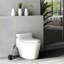 Ensemble de brosse de toilette et support autoportant PISE Dolise et acier inoxydable-30797905