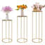 Plant Stand - Set of 3
