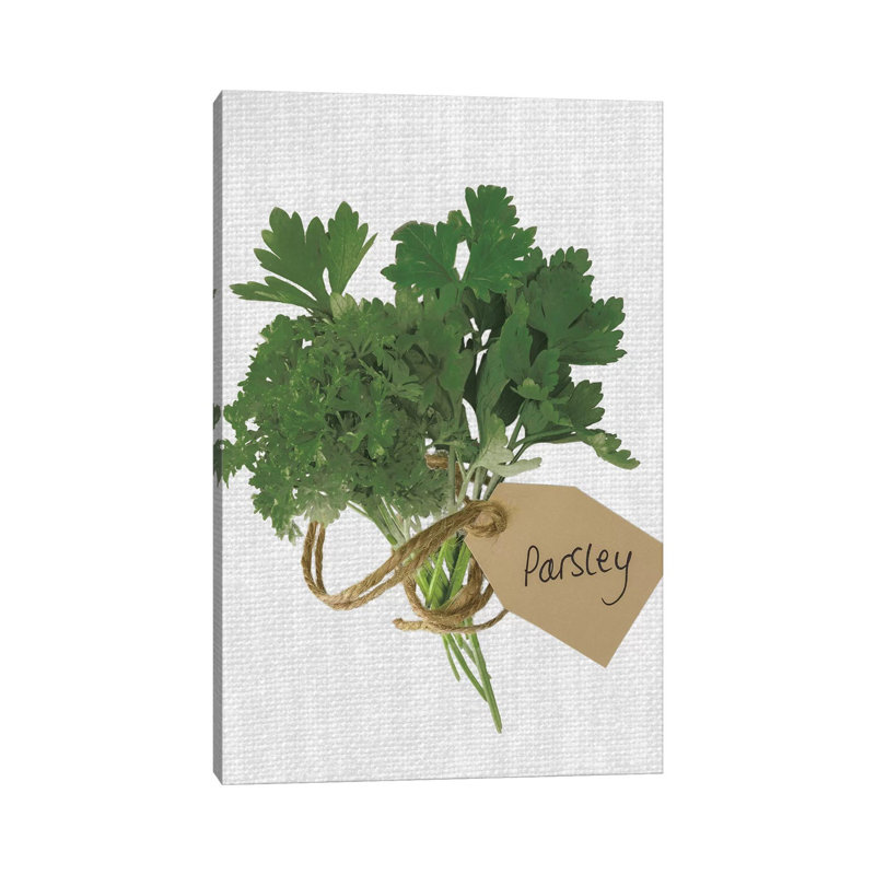 Parsley by Assaf Frank - Wrapped Canvas Print, 66.04 cm H x 45.72 cm W x 1.91 cm D
