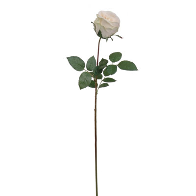 Tige de roses