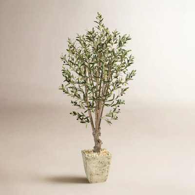 60'' Faux Olive Tree Tree in Planter