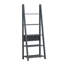 TIVA LADDER BOOKCASE-122083110-123754584