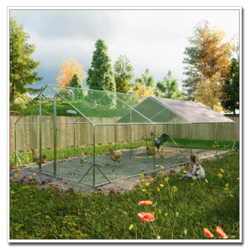 Grand poulailler en métal avec couvercle imperméable, H 78,72 po x l 312 po x P 120 po