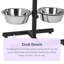 Fawnlily Anti-Skid Elevated Feeder
