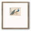 «Golden Peacock Iiompemium», reproduction encadrée-88449439-88449393