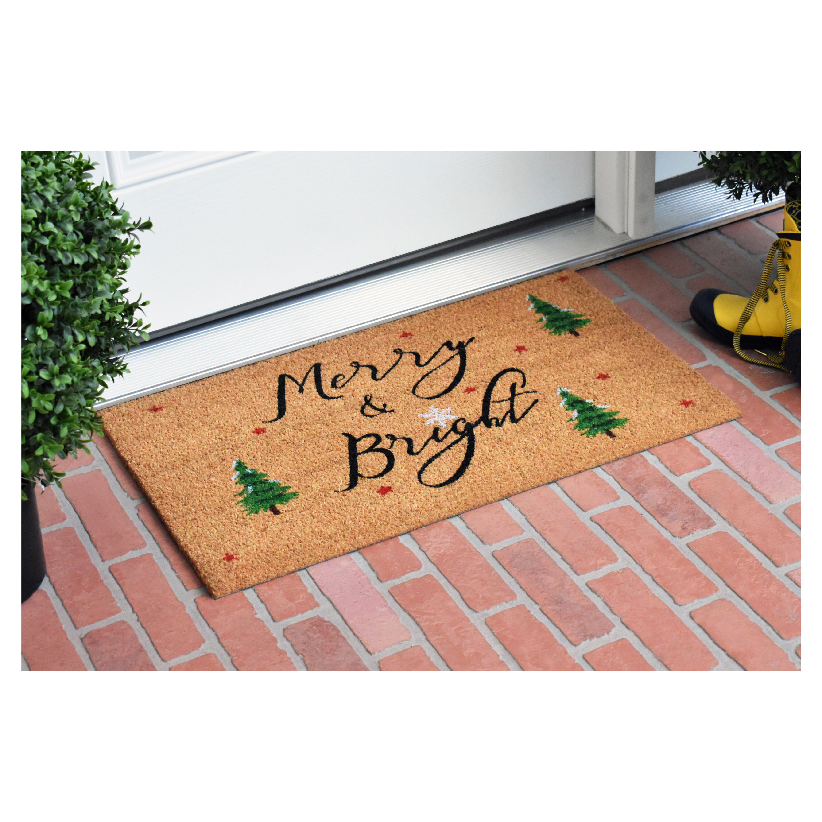 https://assets.wfcdn.com/im/77018737/compr-r85/1297/129769553/bertrand-non-slip-christmas-outdoor-doormat.jpg