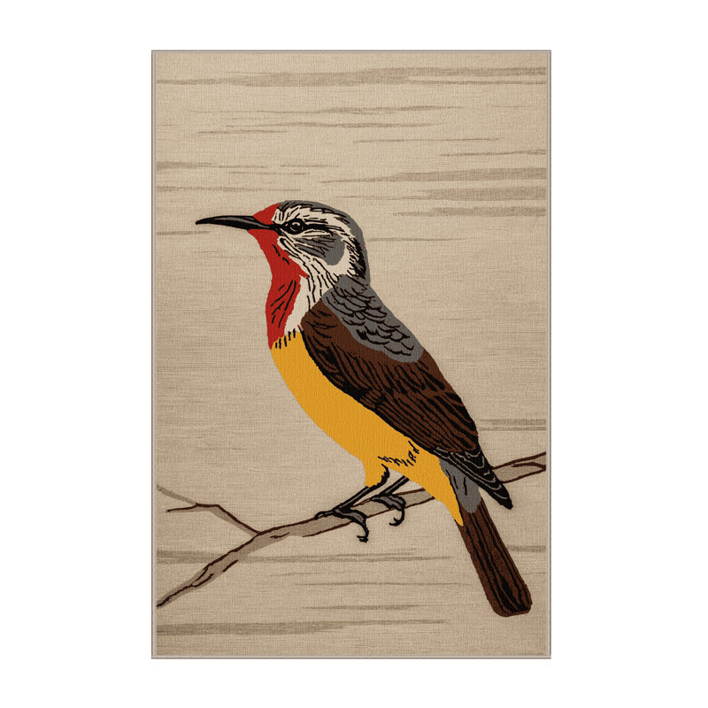  Tapis rouge lavable laveur d'oiseaux, Rectangulaire 2 pi x 3 pi