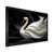 Black Single Picture Framed