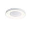 Flush Mount