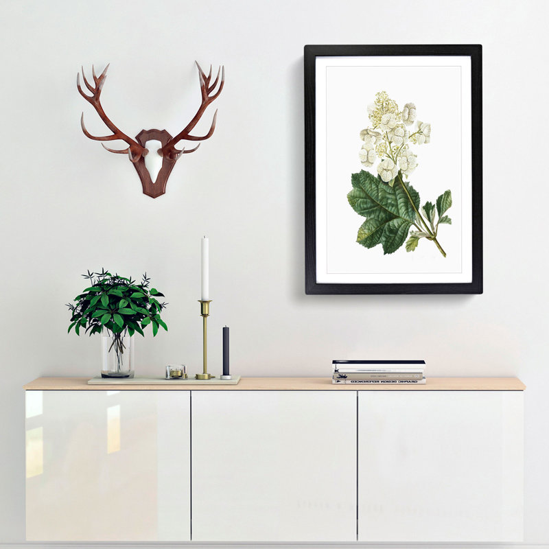 Oakleaf Hydrangea by Pierre-Joseph Redoute - Picture Frame Painting Print, Black Framed, 48cm H x 36cm W x 2cm D