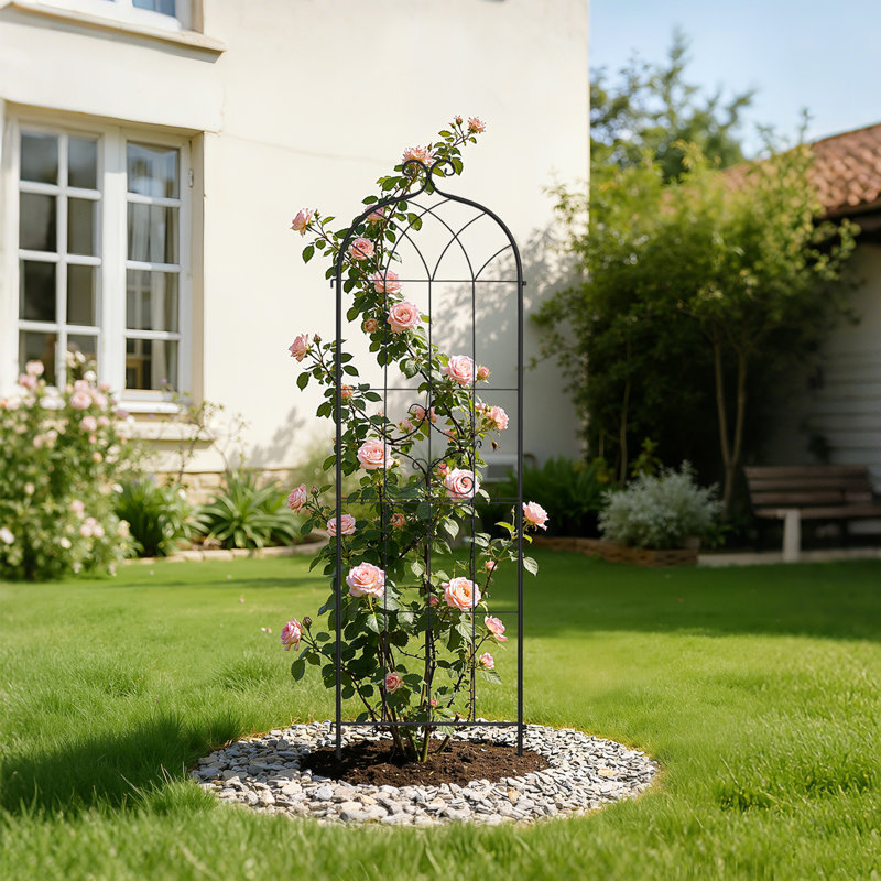 20 W, 180.3cm H x 50.8cm W x 1.3cm D