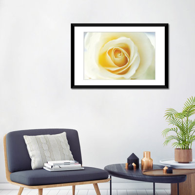 " Rose Close Up Of White Rose In Bloom " by Jan Vermeer