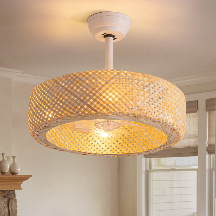 Quebisha 20'' Boho Caged Ceiling Fan with Light Kit and Remote Control