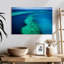 Gillard Great Barrier Reef Seascape-107684926