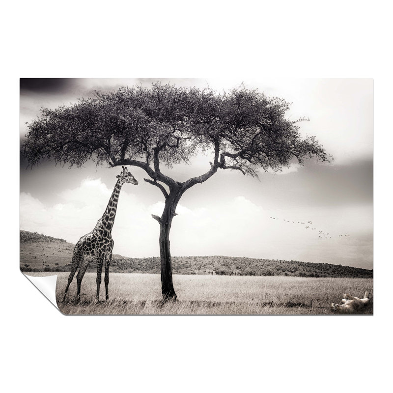 Safari Wildlife Giraffe And Playful Lion - No Frame Print, 61cm H x 91cm W