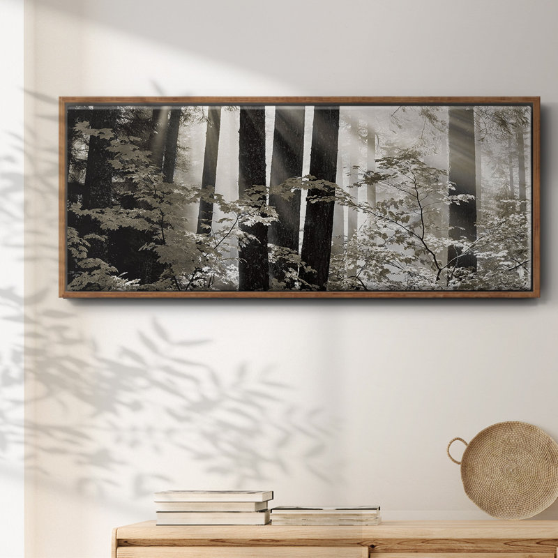 Misty Forest- Framed Canvas, 20" H x 50" W