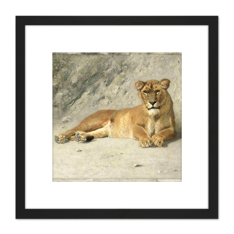 Lioness Resting Big Cat by Jan van Essen - Single Picture Frame Painting