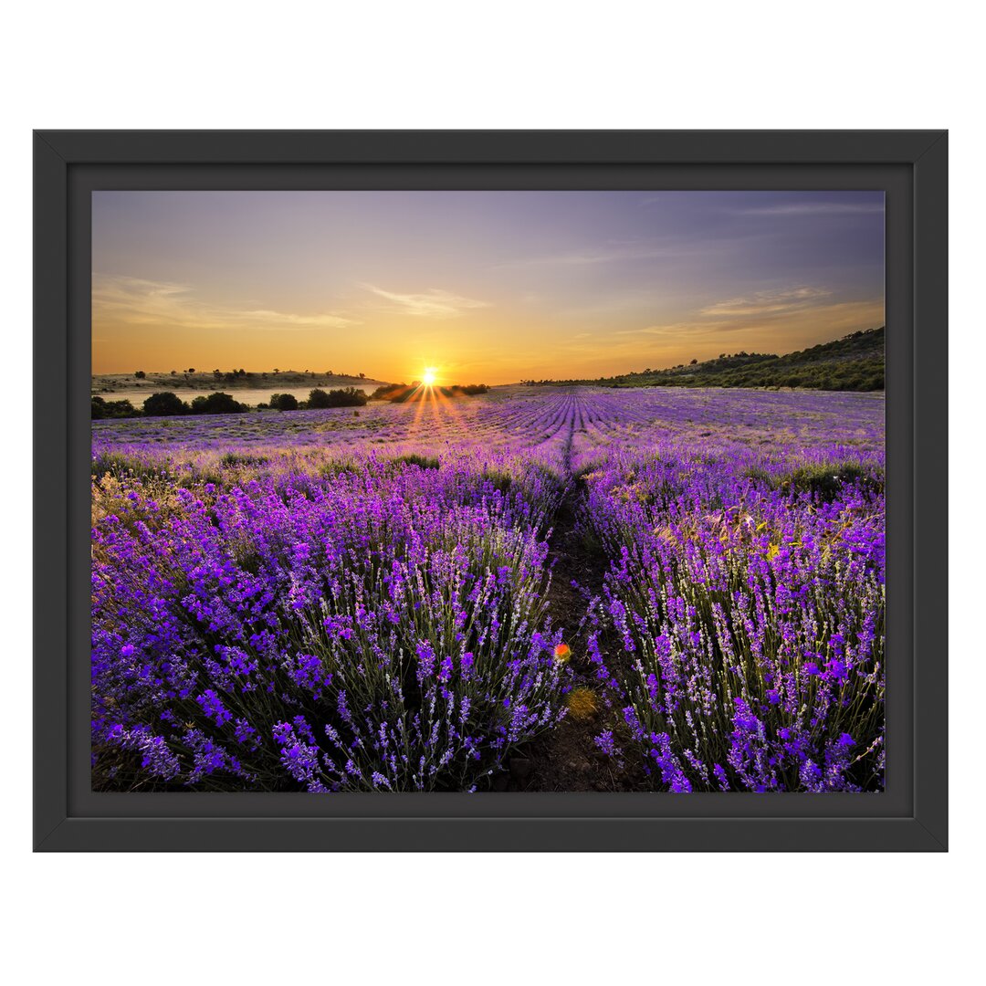 Leinwandbild ,,Lavendelfeld in Frankreich", Fotodruck