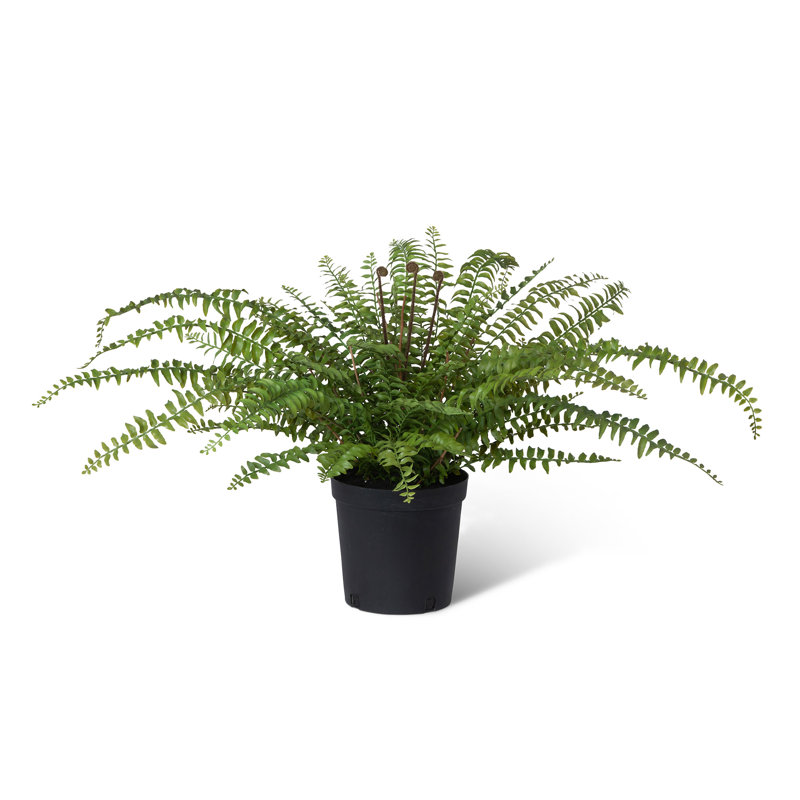 Faux Fern Tree in Pot