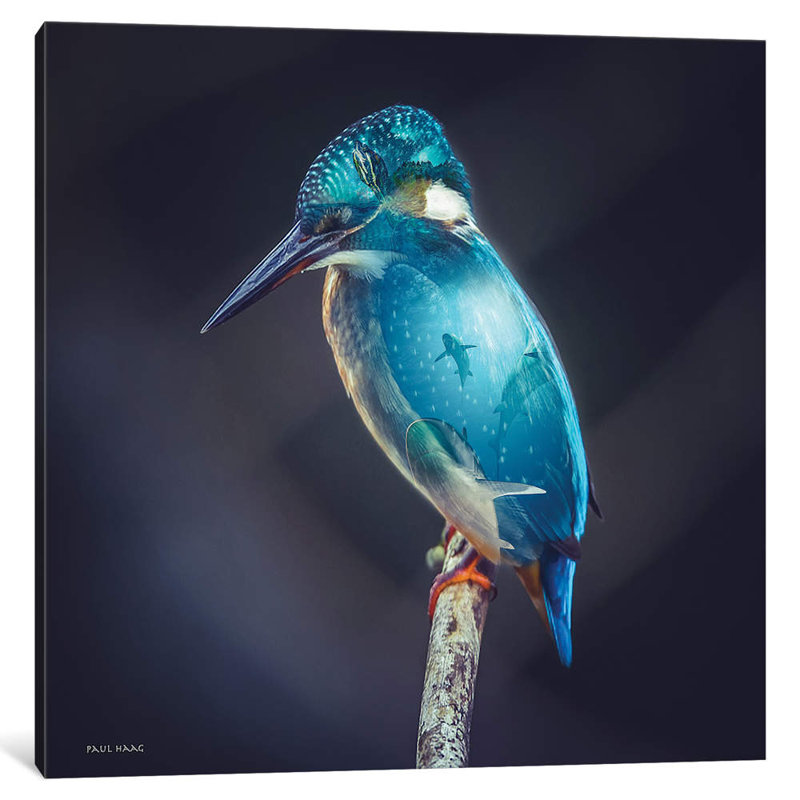 Aquarium Bird by Paul Haag - Wrapped Canvas Giclee Art Print, 66.04 cm H x 66.04 cm W x 1.91 cm D