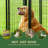 12 Panels Folding Hinges Dog Kennel
