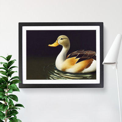 Beguiling Duck - Single Picture Frame Print
