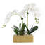 Real Touch White Phalenophsis Orchids Flower Arrangement in Planter