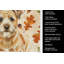 Serviette de cuisine Wheaten Border Terrier-2083471976