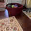 Customer photo 2 of 3