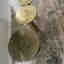 Customer photo 2 of 2