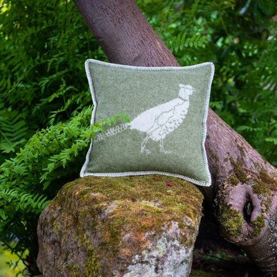 Cushion
