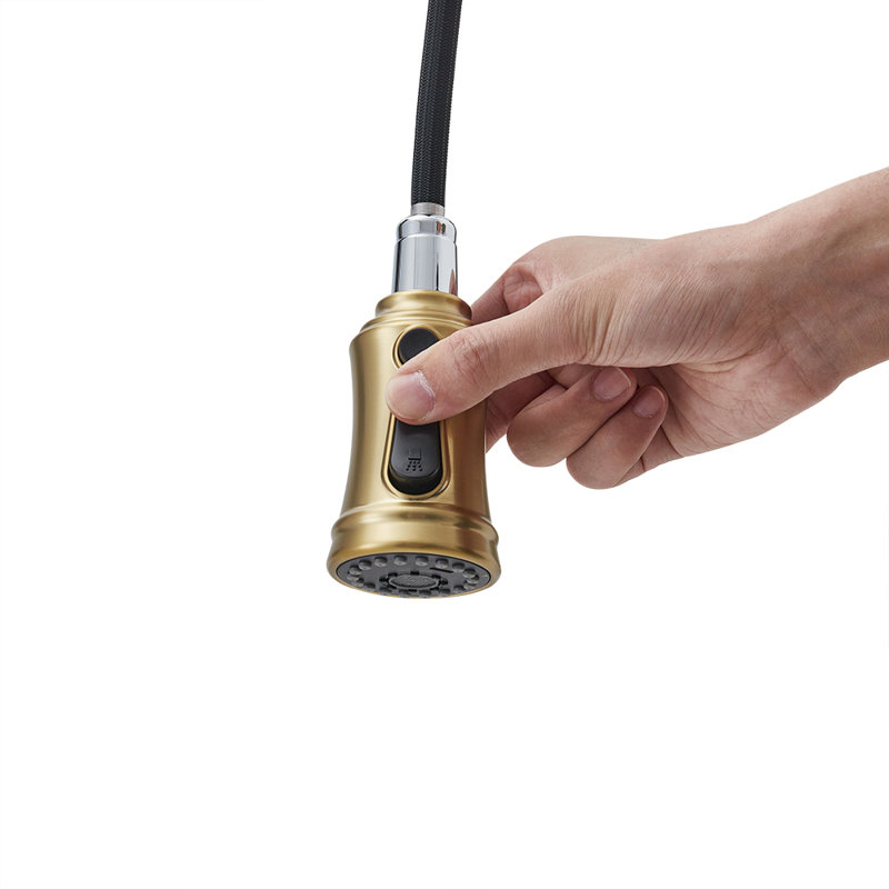 Belfry Kitchen Kitchen Faucet, Gold/Black
