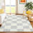 Machine Washable Indoor/Outdoor Braegger ACN2345 Geometric Rug-21811057