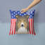  Coussin 14 "American Flag-1560286184-1560604464
