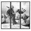 Scuba Diver Tryptic Giclee Print by Soicher Marin Archives-44381013