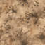 Papier peint texturé parchemin-231380803