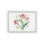 Portmeirion, Botanic Garden - Placemats