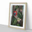 Winged Passion-Flower by R.J. Thornton - Picture Frame Painting Print-55612632-55612633
