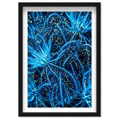 Neon garden Framed Graphic Art