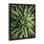 «Succulent in Rain», art mural encadré par Susan Ball