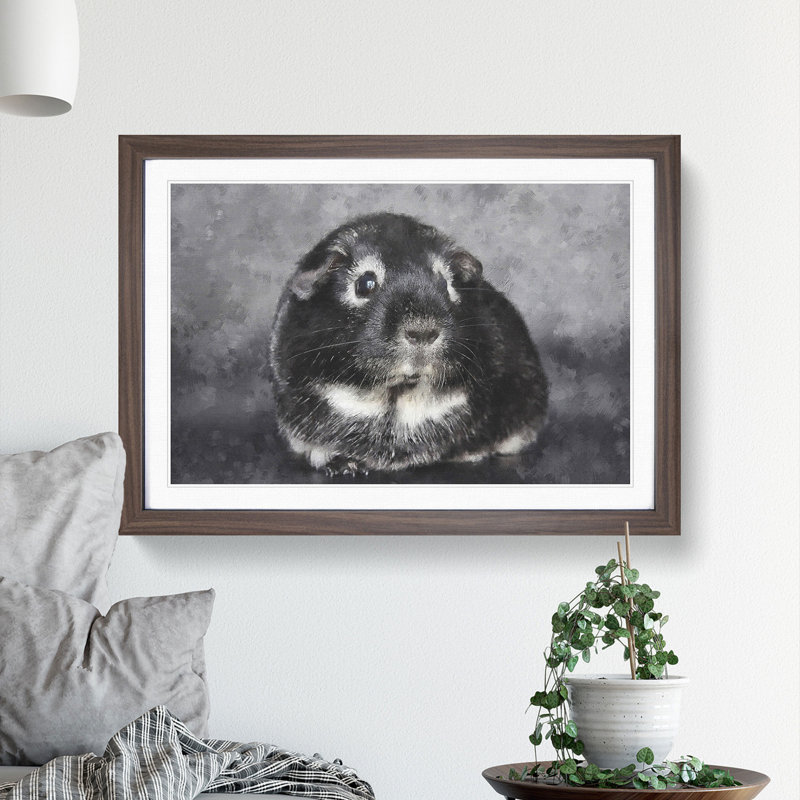 Guinea Pig - Picture Frame Graphic Art, Walnut Framed, 48cm H x 65cm W x 2cm D
