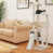 Beige is out of stock