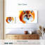 Visage de renard roux Brampt-107870334