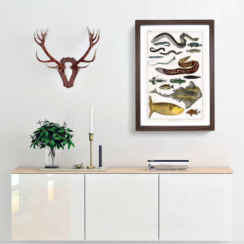 Various Fishes XXXIV by Oliver Goldsmith - Picture Frame Painting Print, Walnut Framed, 48cm H x 65cm W x 2cm D