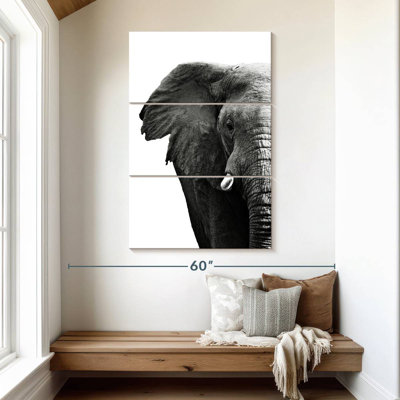 Brampt Wrinkled African Elephant