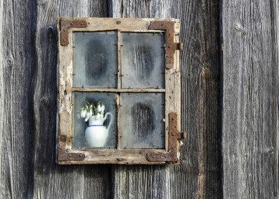 Wrapped Canvas Print, 60.96cm H x 91.44cm W