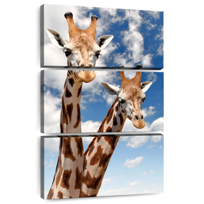 Brampt Happy Giraffes